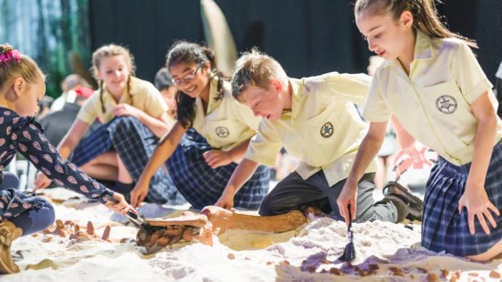 Students digging up a dinosaur fossil with excavation tools.
